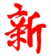 2017年翔飞一字——“新”